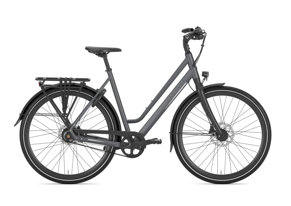 Gazelle Chamonix S11